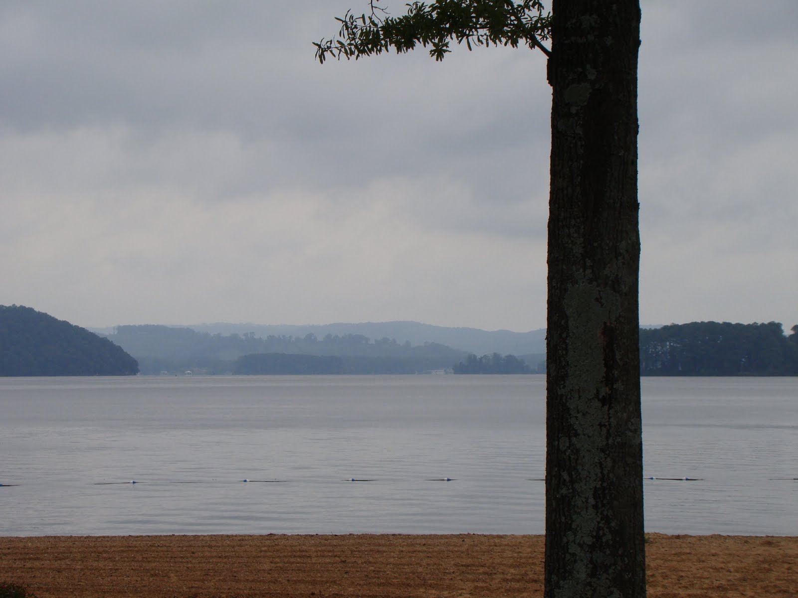 [DSC01817.JPG]