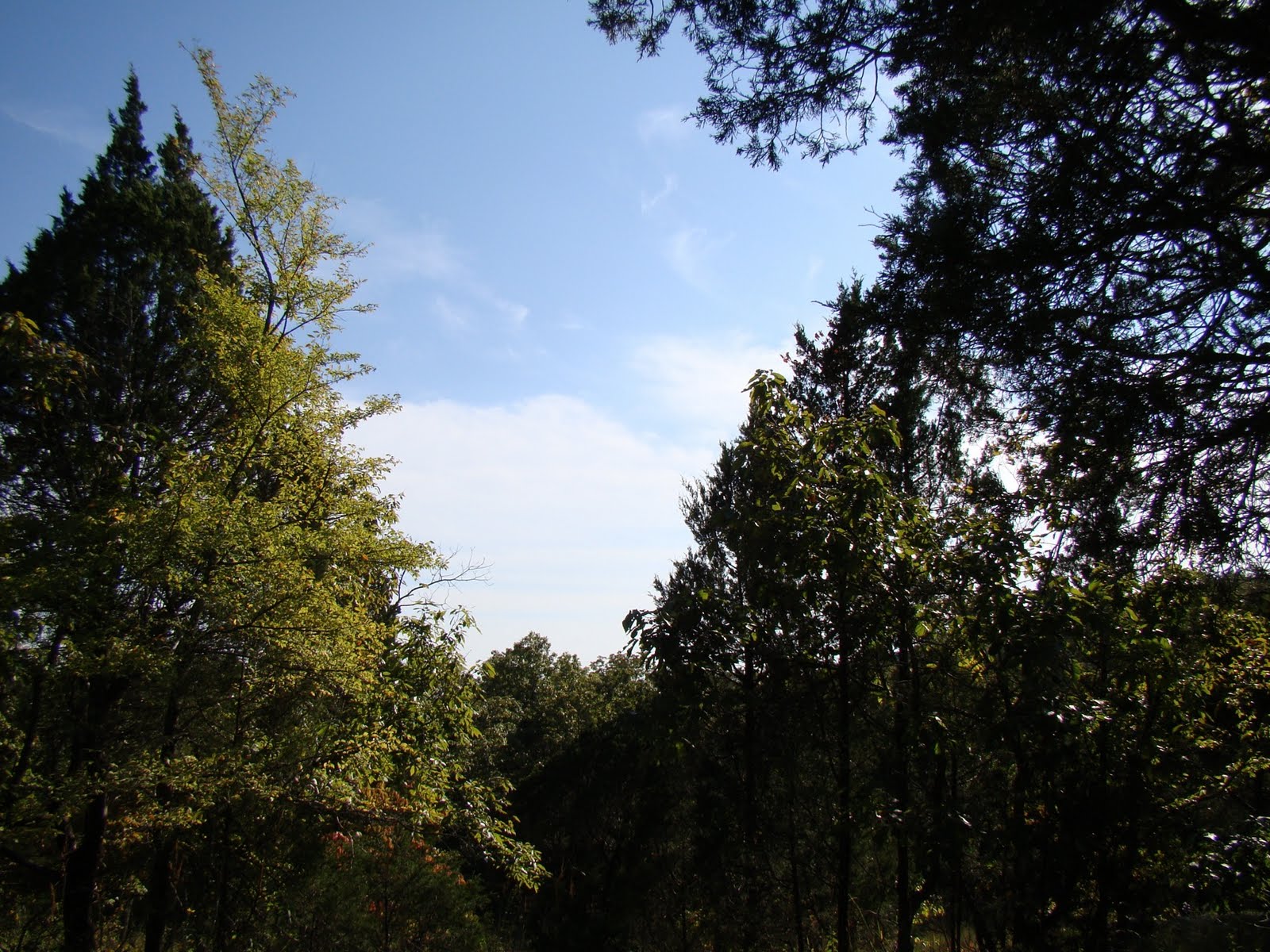 [DSC01899.JPG]