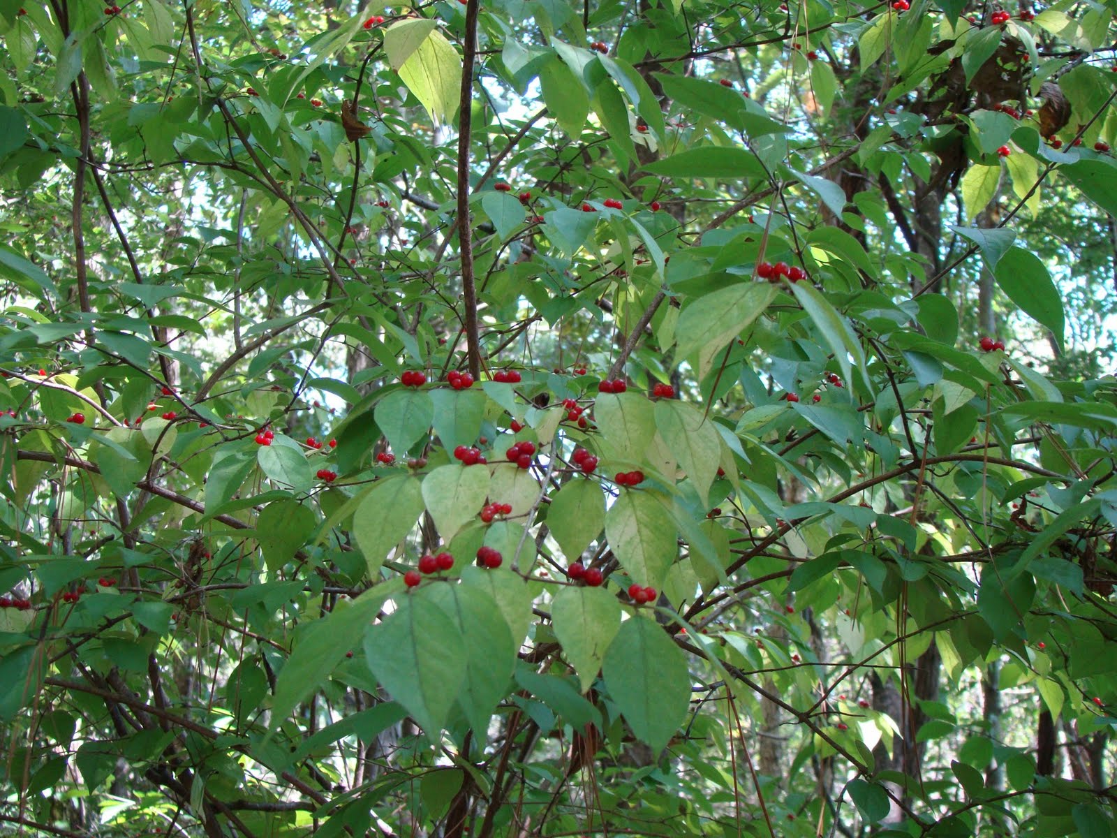 [DSC01870.JPG]