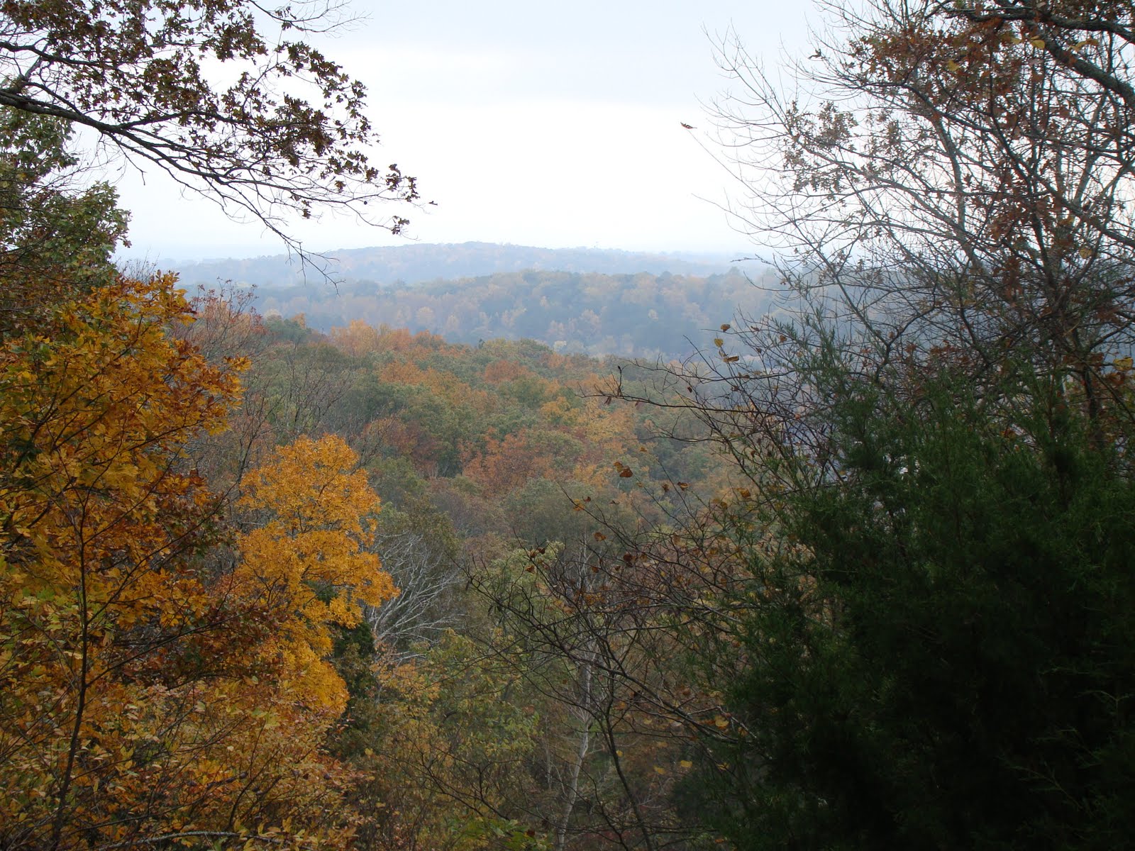 [DSC02333.JPG]