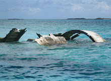 Submerged Plane in Norman's Cay