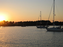 Hudson Creek off Little Choptank R.