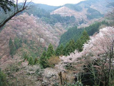 rolandotolentino: April 2008
