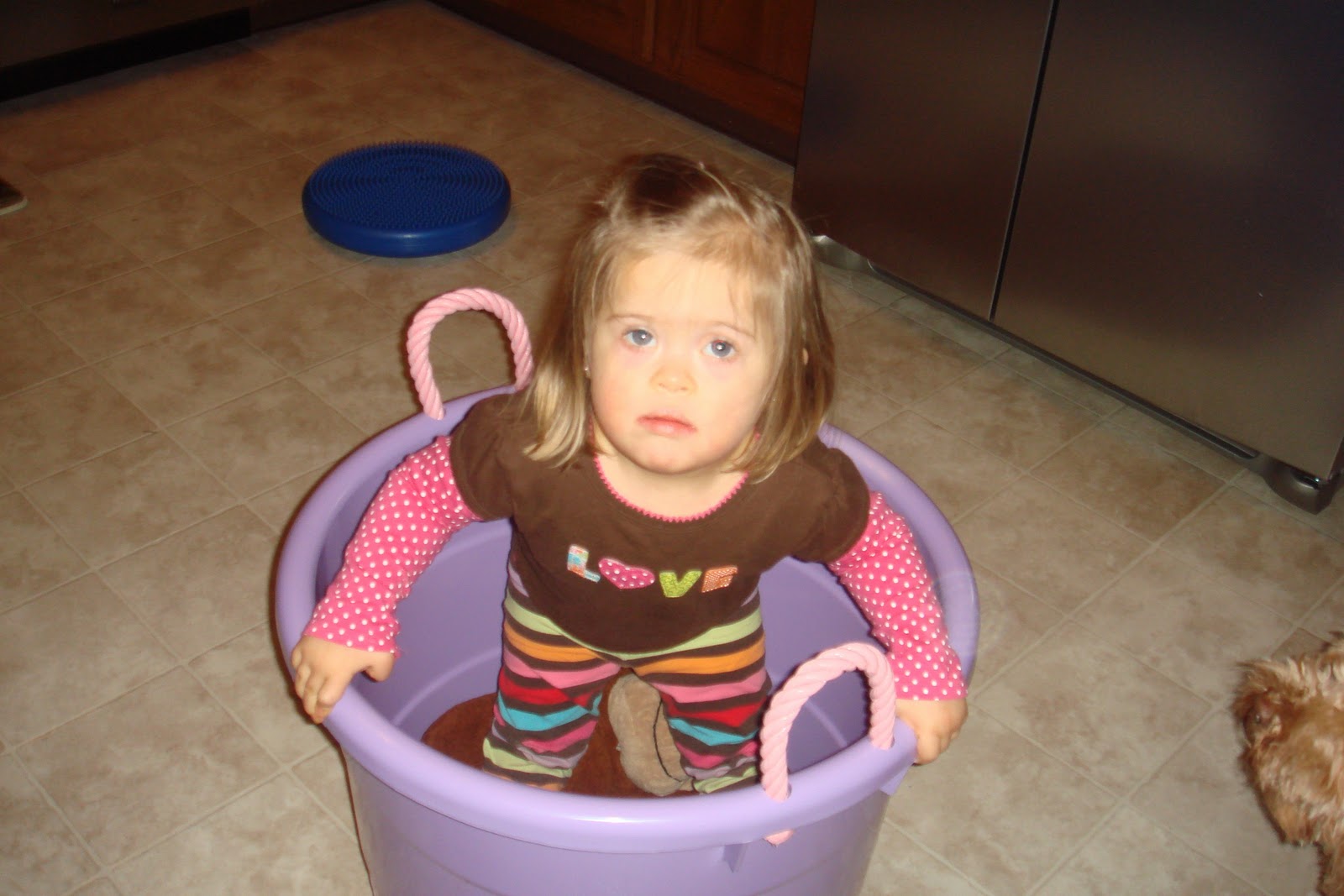 Three Little Bees! Bucket Therapy!