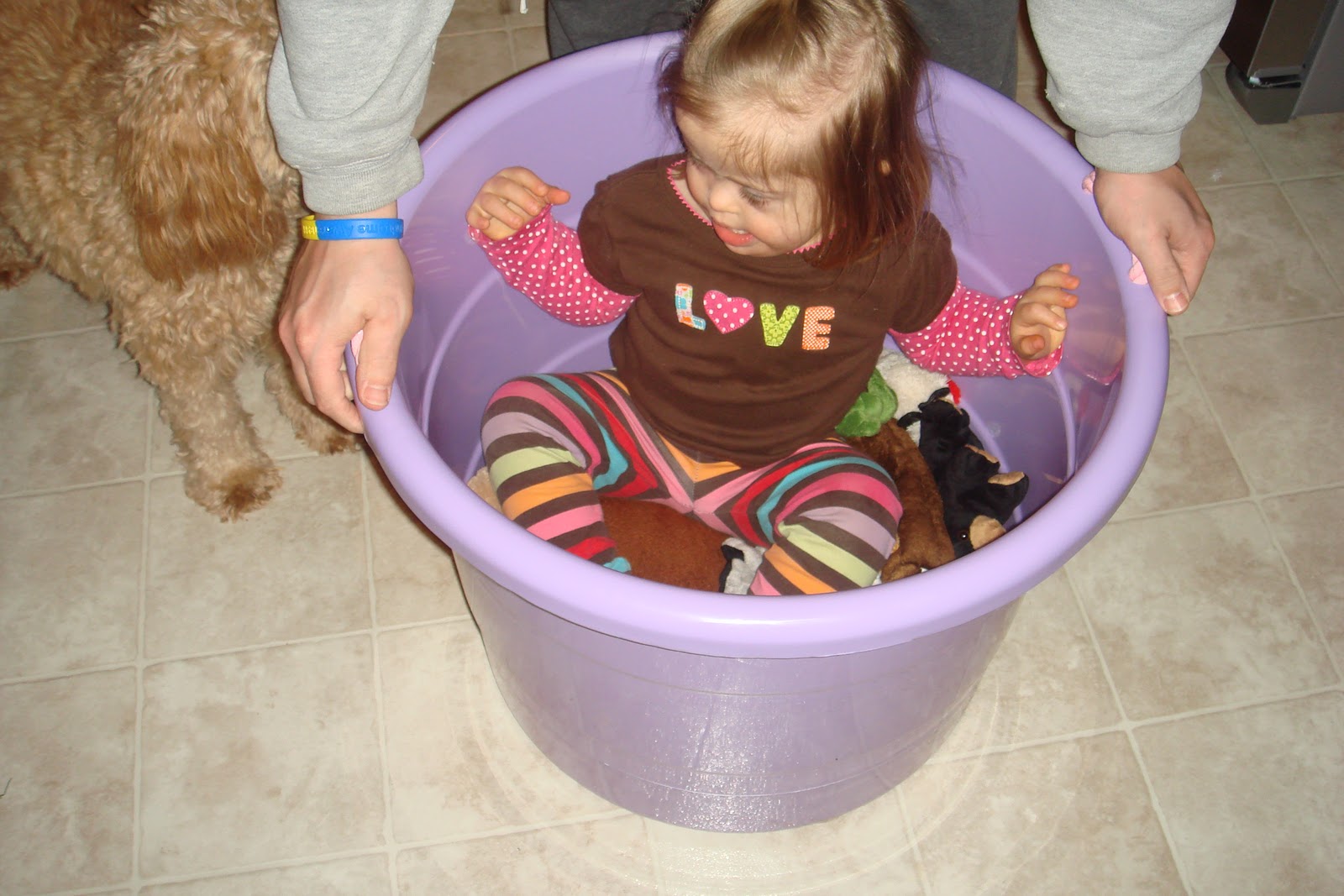 Three Little Bees! Bucket Therapy!