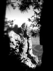 Silver Peak, Chiricahua Mountains, Arizona