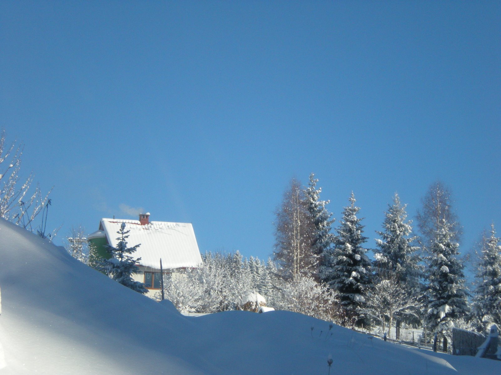 [DSCN1611.JPG]