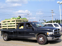 Truckload of melons