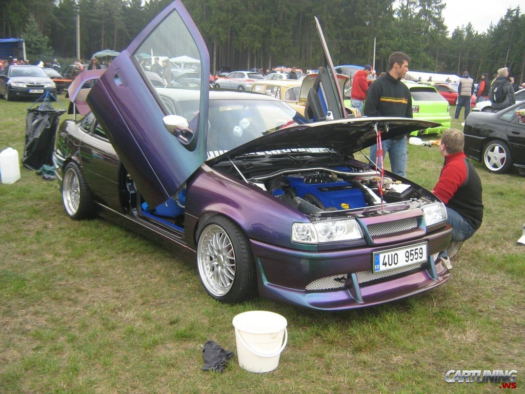 http://4.bp.blogspot.com/_1Ilwthvk5-c/S_BEN6j2syI/AAAAAAAAAWk/apGDm2m28BM/s1600/1236077472_tuning-opel-vectra-chameleon(1).jpg