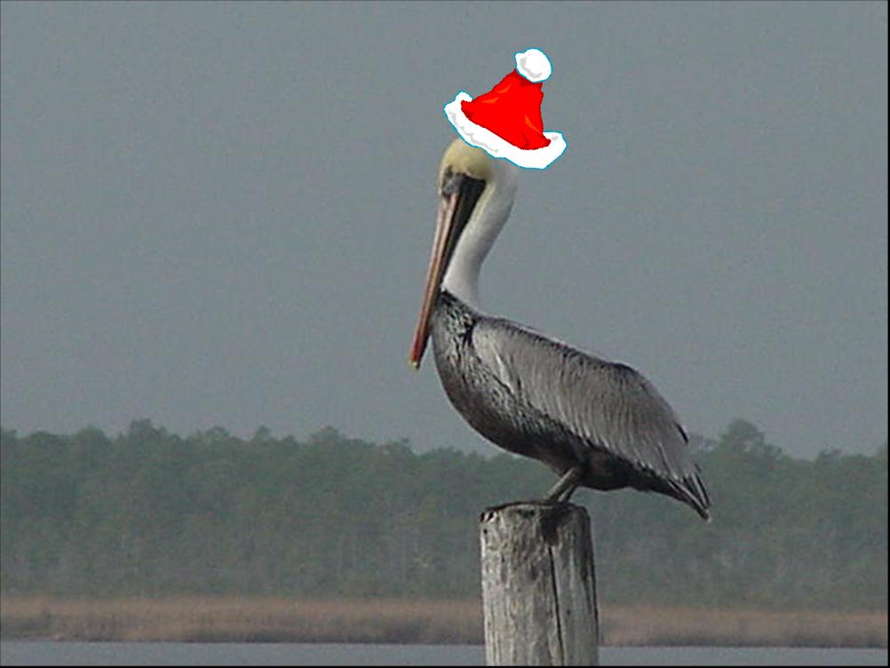 [Christmas+Pelican+JPG.jpg]