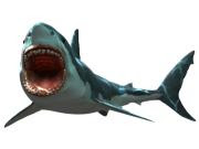Jaws unleashed Jaws unleashed