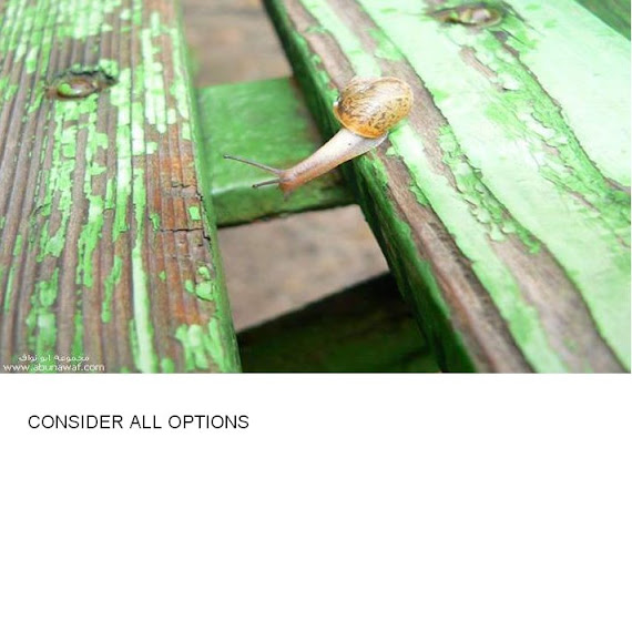 SIPUT - STEP 2 - CONSIDER ALL OPTIONS