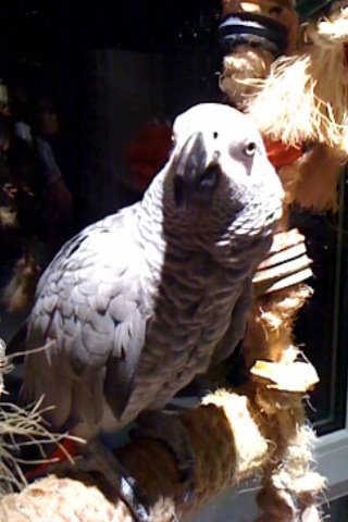 [IMG_0584.JPG]
