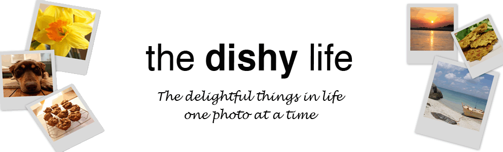 The Dishy Life