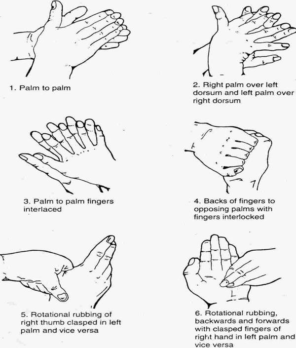 handwashing signs for kids hand washing signs. handwashing signs for kids