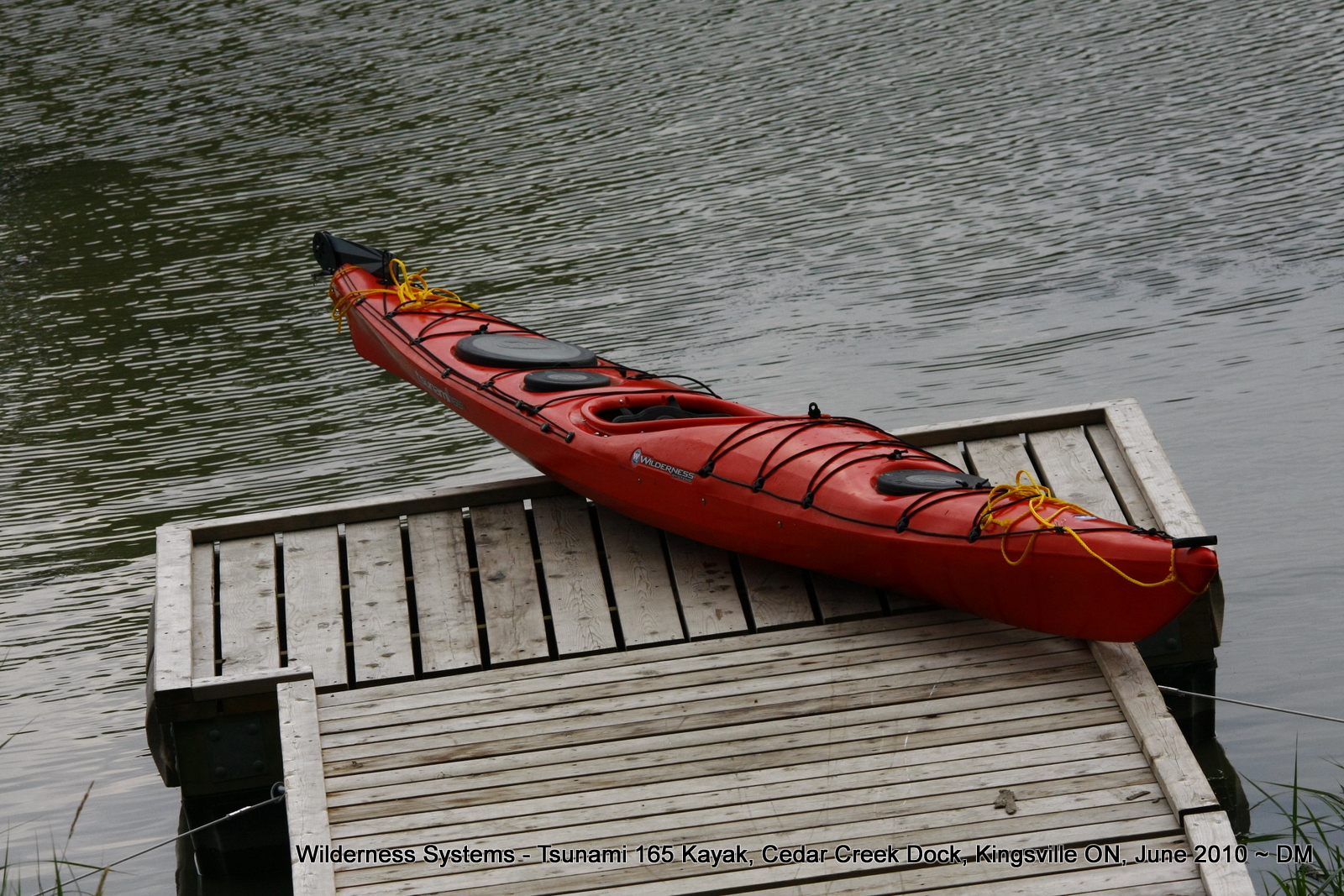 Nerdy for Birdy 16 Birding and Kayaking Hotspots in Windsor Ontario Detroit Michigan area