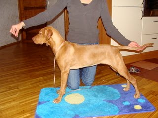 [dsc03583e.jpg]