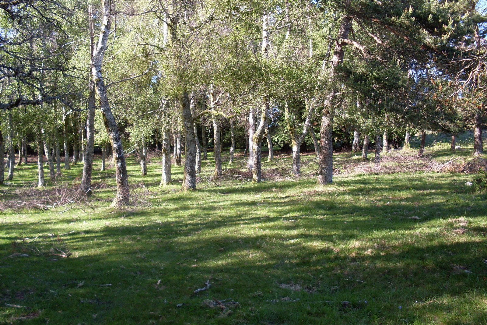 [SDC10593.JPG]