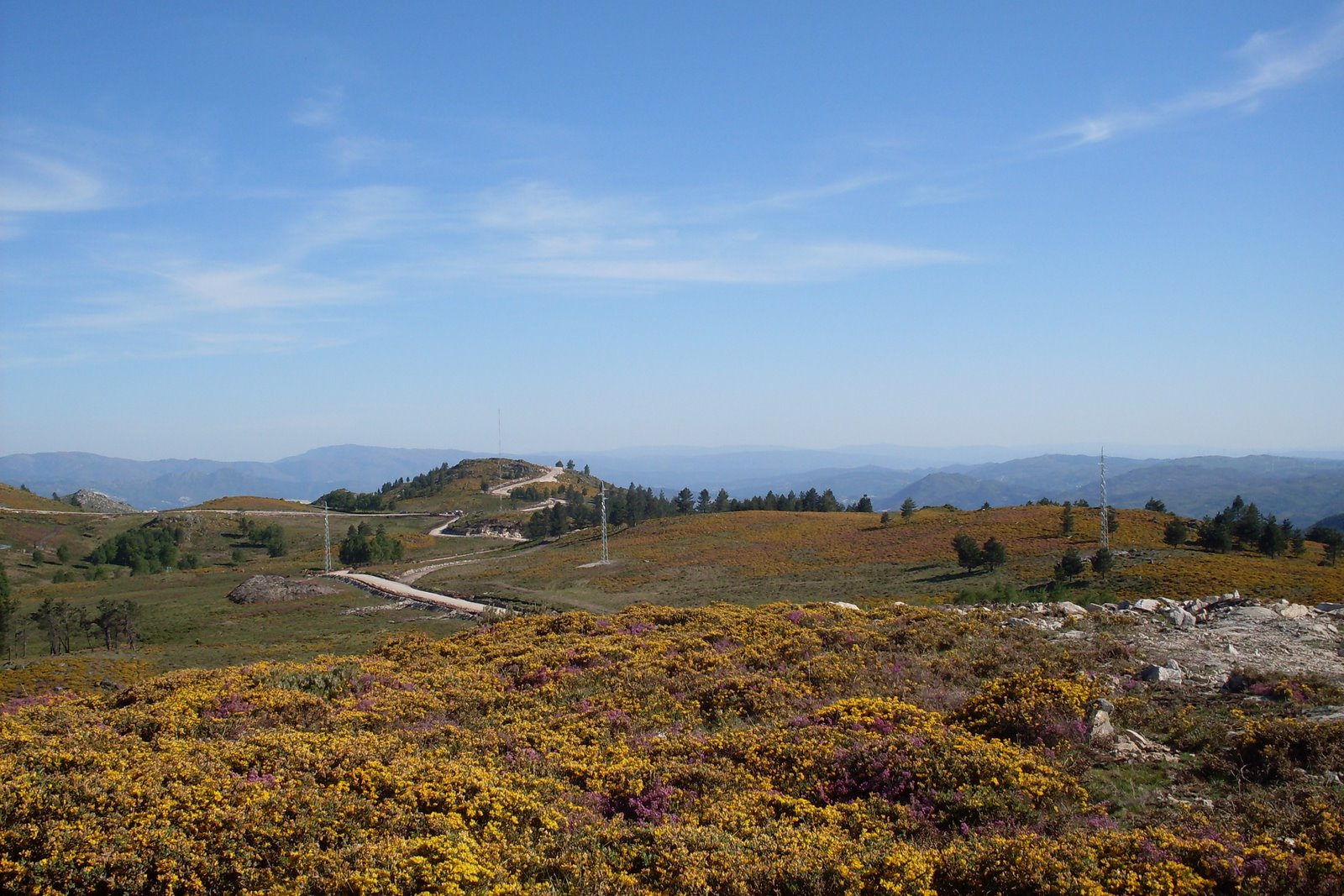 [SDC10603.JPG]