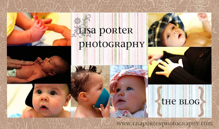 Lisa Porter Photography