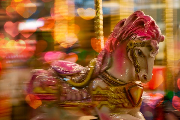 [Holiday+Lights+2007-81.jpg]