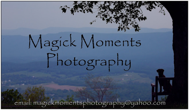 Magick Moments Photography