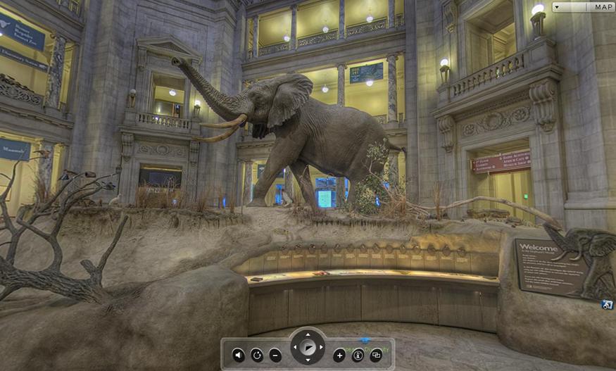 Smithsonian National Museum of Natural History a Comprehensive