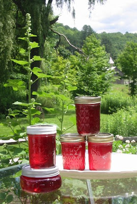 jars+of+currant+jelly+01 Red Currant Jelly