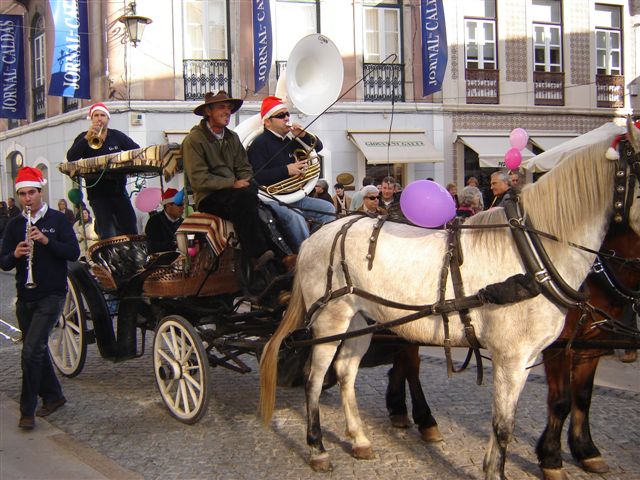 [DSC01547.JPG]