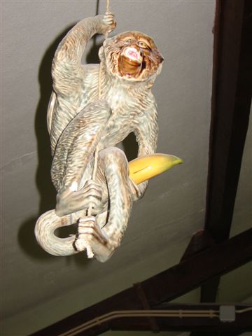 [MACAQUICES.JPG]
