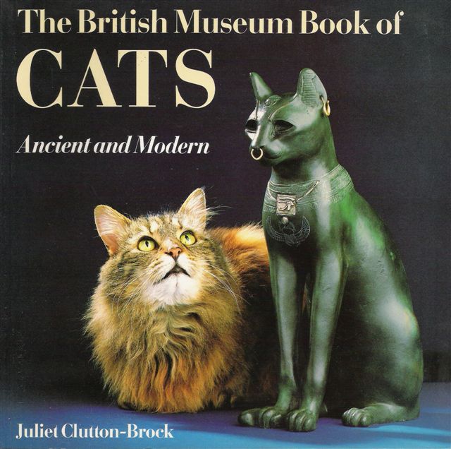 [CATS+CAPA.jpg]