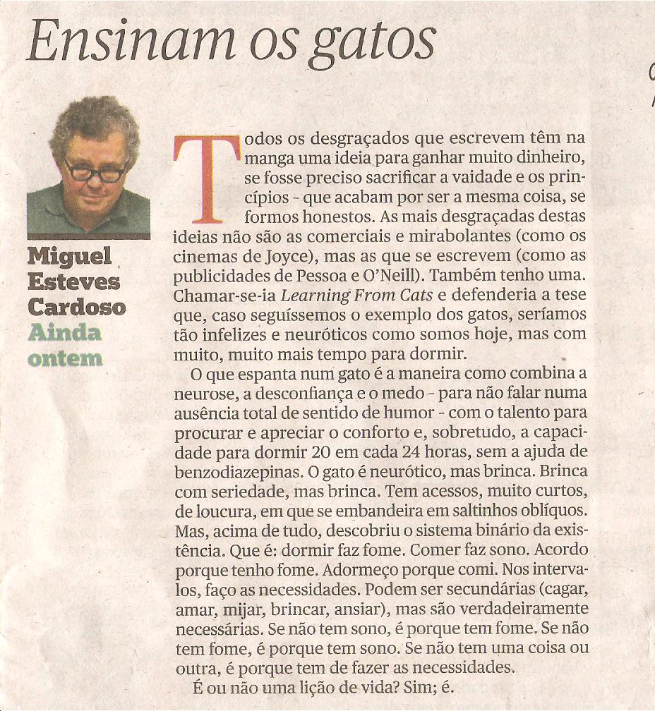 [ENSINAM+OS+GATOS.jpg]