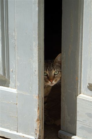 [DSC_0645.JPG]