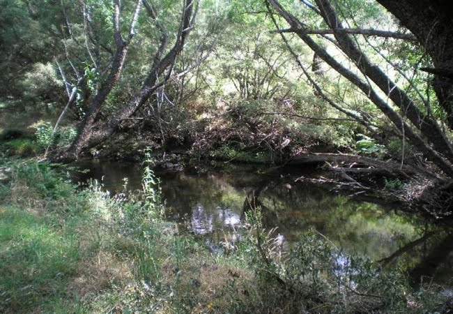 Thougla Creek Access - Photo 1