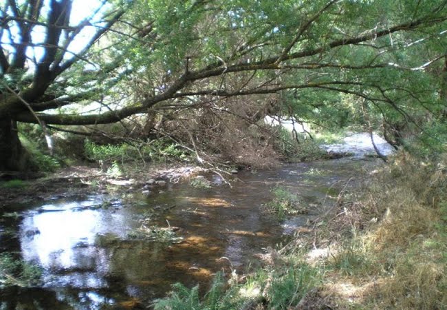 Thougla Creek Access - Photo 2