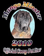 We enter the mango minster competion