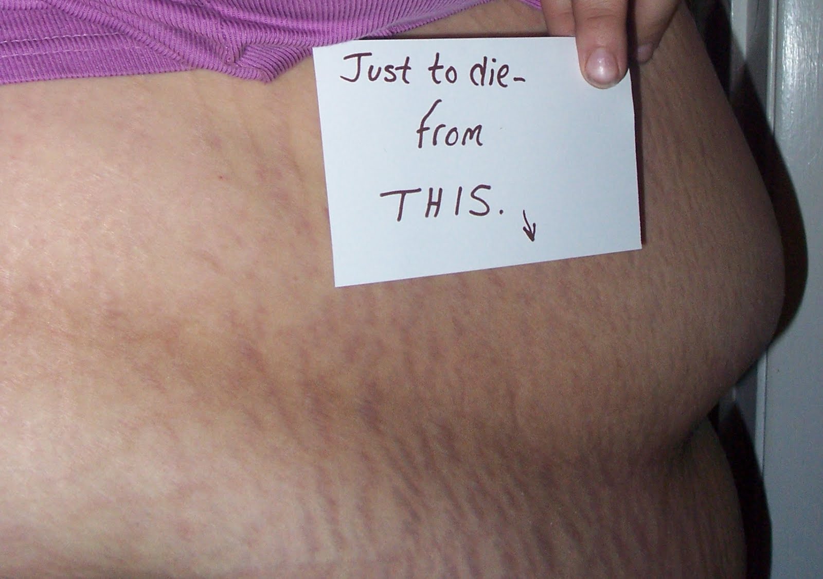http://4.bp.blogspot.com/_1PfZk7uQzXc/S_MnCjvkJhI/AAAAAAAAB-Q/37Wf4sgiD5g/s1600/lorikate+3.jpg