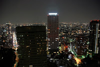 Tokyo View from Hilton Shinjuku - Night