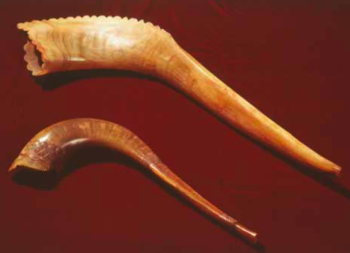 Hearing Shofar The Beauty of the Shofar