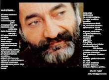 hayaloğluna şiir