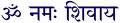 ॐ रामाया राम भद्राय राम चन्द्राया मानसा रघुनाथाया नाथाय सिताये पतिये  नम