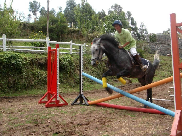 SALTO