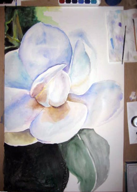 [magnolia+in+progress.jpg]