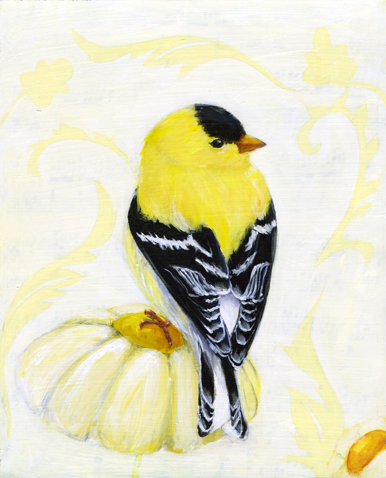 [finch+on+flower+web.jpg]
