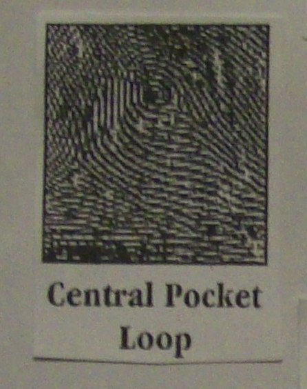 [central+pocket+loop.jpg]