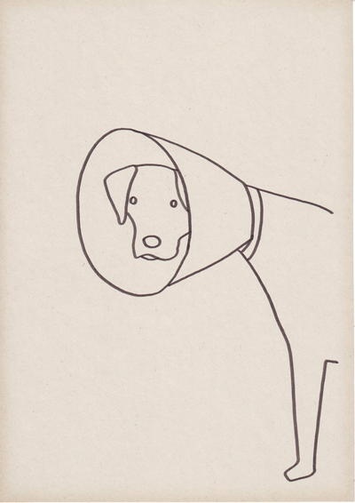 [Image..04.gif]