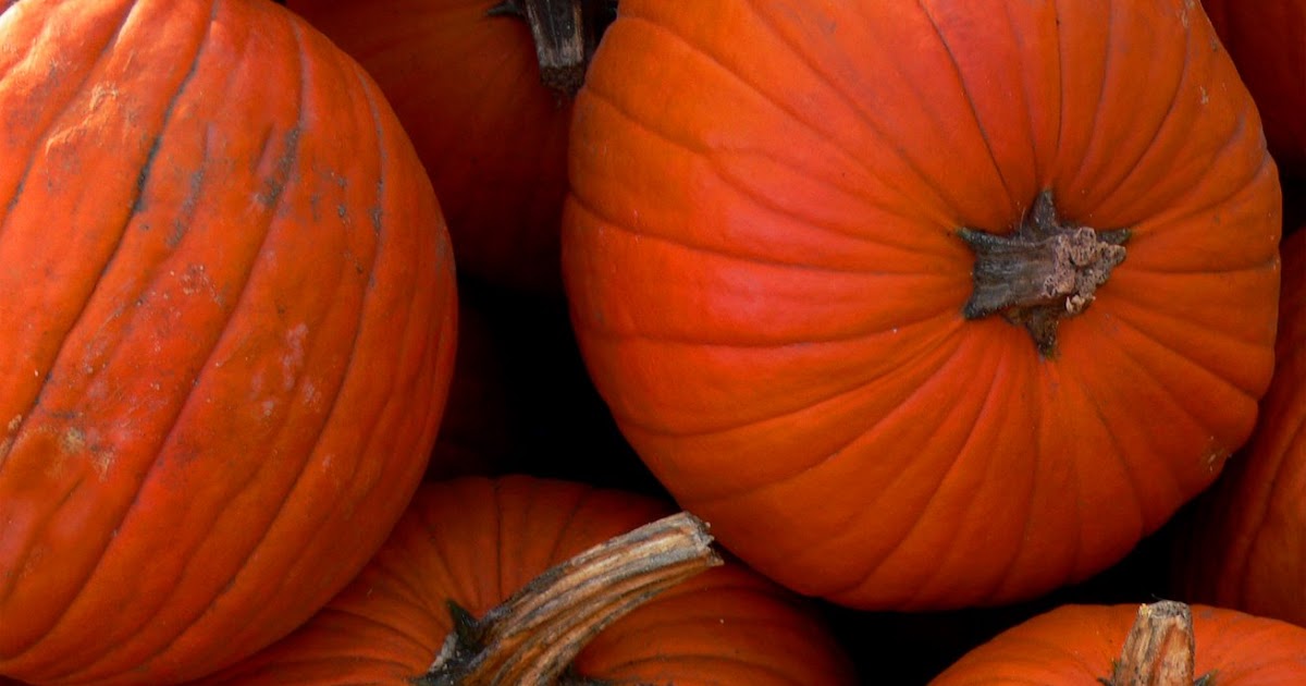 feasting on&hellip;gluten-free pixels: of pumpkins (part deux)…pretty in pink