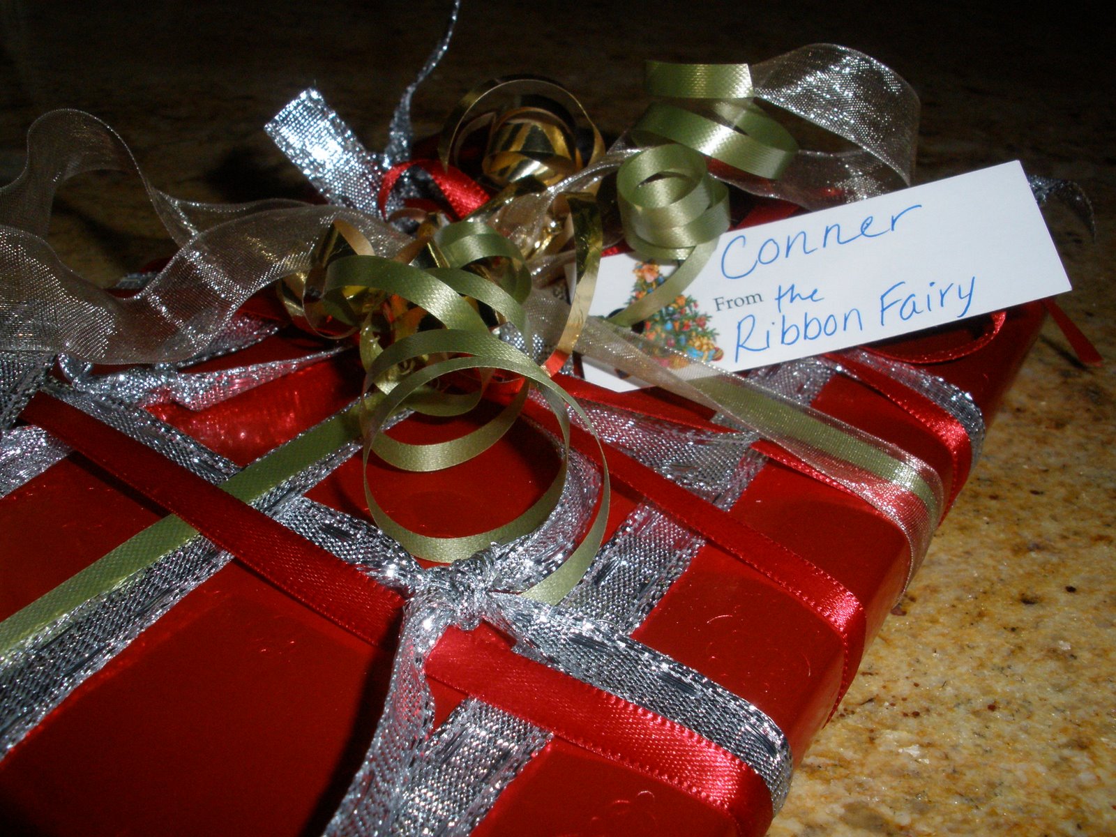 [December+2008+075.jpg]