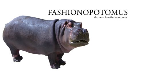fashionopotomus
