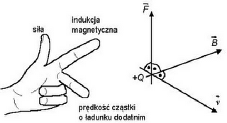 Frankenstein 2011: Pole magnetyczne-informacje ogólne, linie pola, siły